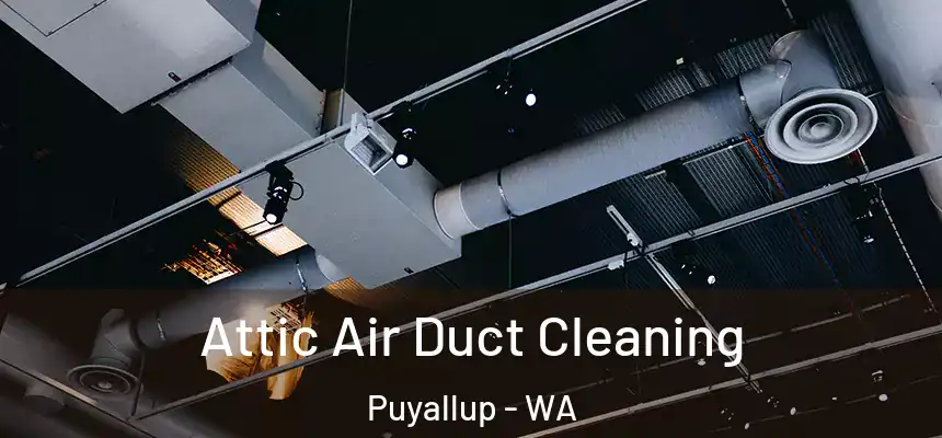  Attic Air Duct Cleaning Puyallup - WA