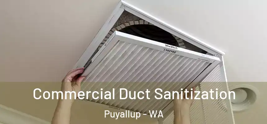  Commercial Duct Sanitization Puyallup - WA