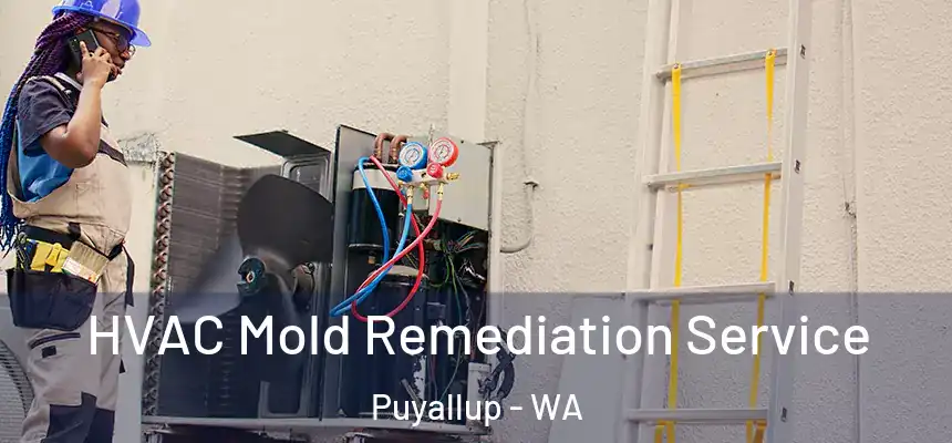  HVAC Mold Remediation Service Puyallup - WA
