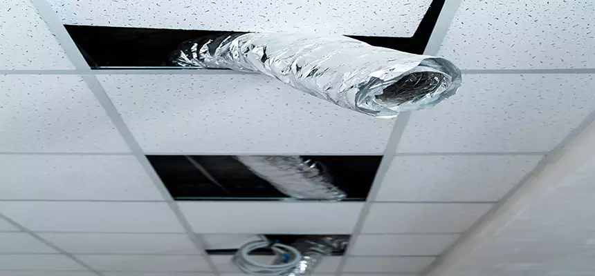 Affordable HVAC Sanitizing After Pest Removal in Puyallup