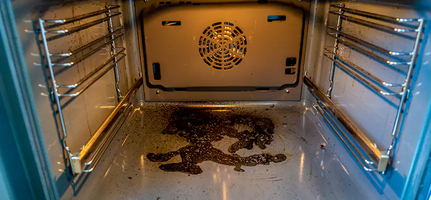 Our Dryer Vent Mold Cleaning Services in Puyallup, WA