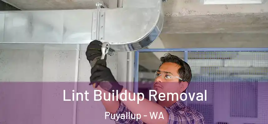  Lint Buildup Removal Puyallup - WA