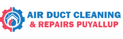 Air Duct Cleaning & Repairs Puyallup