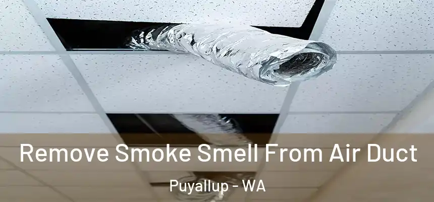  Remove Smoke Smell From Air Duct Puyallup - WA