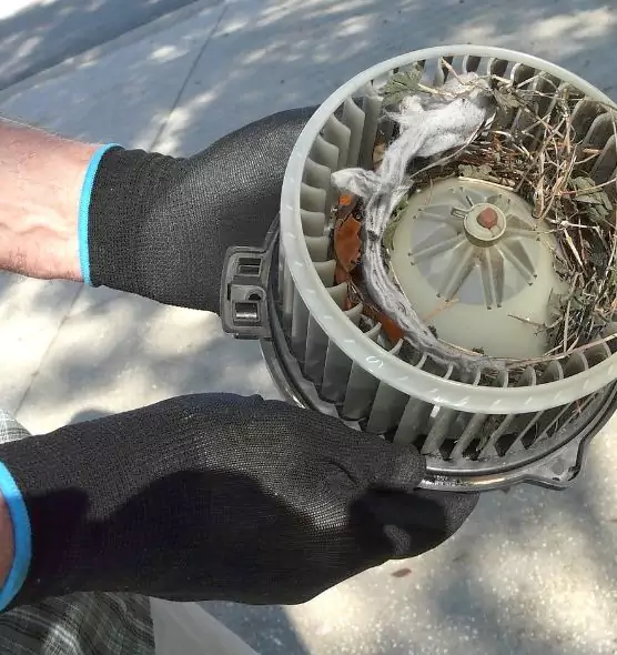 About Air Duct Mice Removal in Puyallup, WA