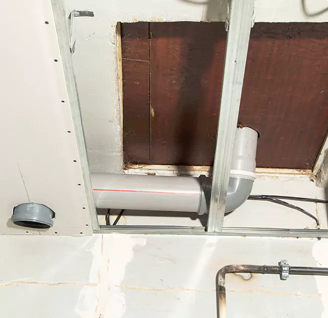 Why Homeowners & Businesses Trust Us in Puyallup, WA?