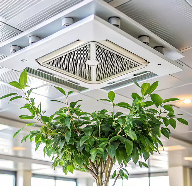 Why Homeowners & Businesses Trust Us in Puyallup, WA