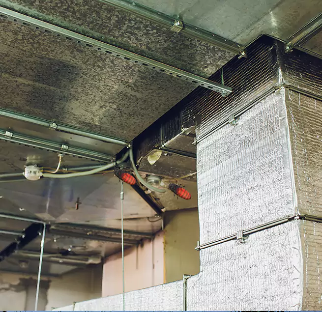 Why Homeowners & Businesses Trust Us Puyallup, WA?