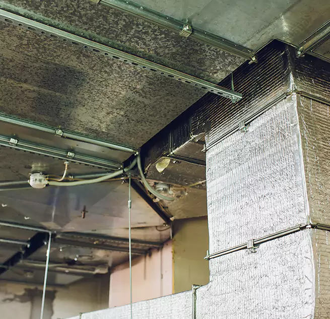 Why Homeowners & Businesses Trust Us in Puyallup, WA?