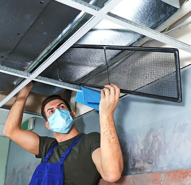 Why Homeowners & Businesses Trust Us in Puyallup, WA?